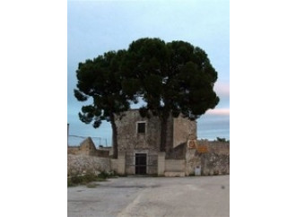 I casali del Biscegliese